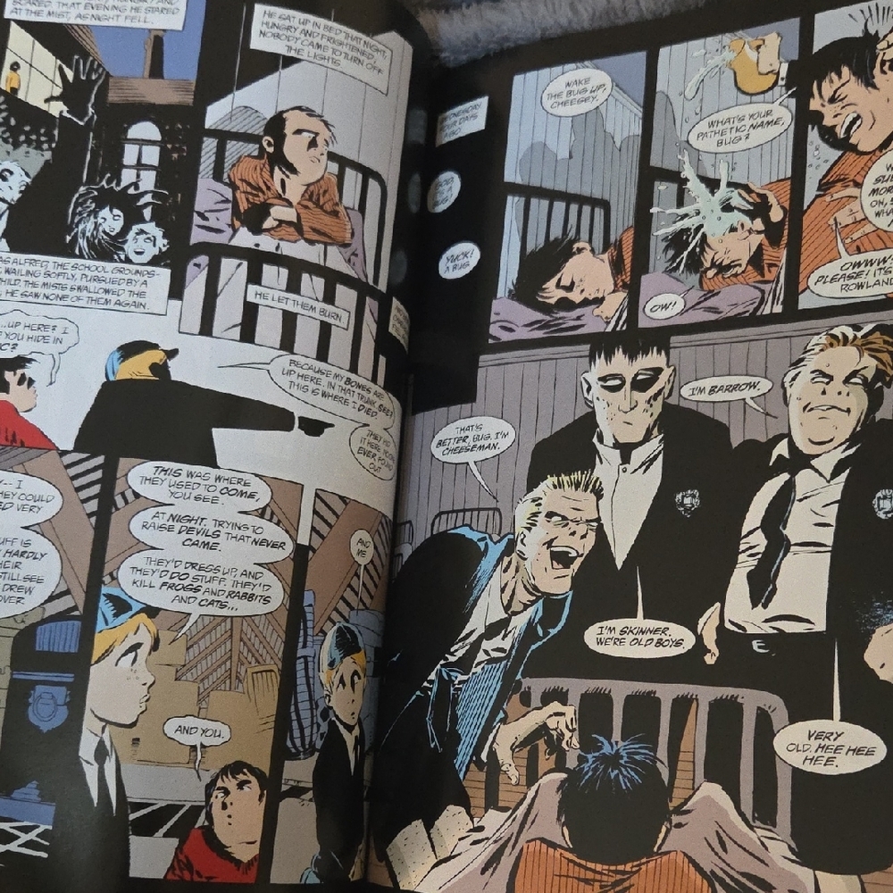 Sandman Graphic Novels by Neil Gaiman - Picture 11 of 12